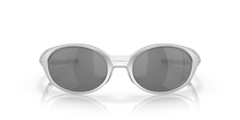 Load image into Gallery viewer, Eyejacket Redux Silver - Prizm Black Polar