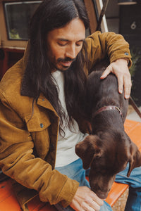 Cable Lined Trucker Jacket - Brass