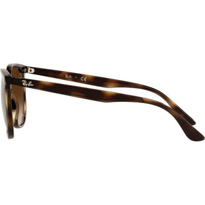 RB4378 - Havana W/ Gradient Brown