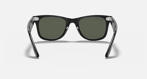 Wayfarer Black - Green Polar